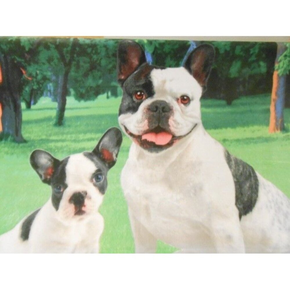 New Soft Cute French Bulldog Fleece Throw Gift Blanket Breed Dog Puppy Sitting - Picture 2 of 4